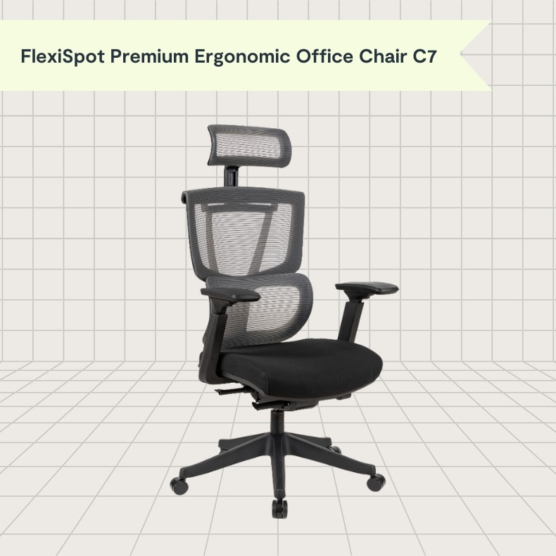 Flexispot 2025 ergonomic chair